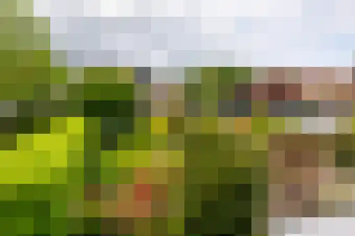 Blauwe Hof 5902 Wijchen thumbnail 30