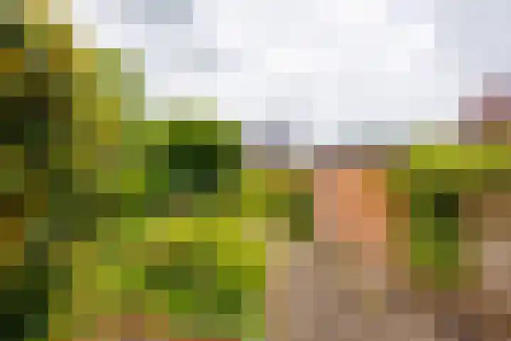 Blauwe Hof 5902 Wijchen thumbnail 32