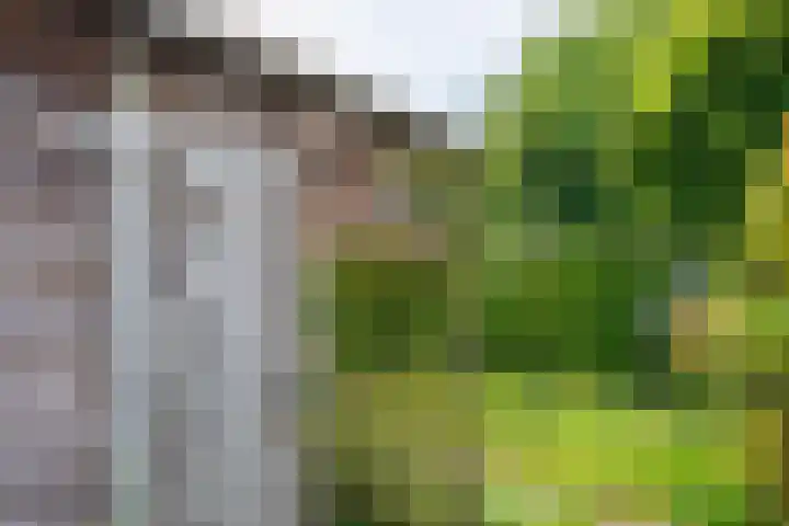 Blauwe Hof 5902 Wijchen thumbnail 33