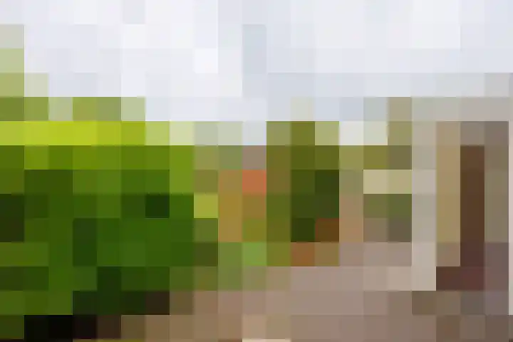 Blauwe Hof 5902 Wijchen thumbnail 34
