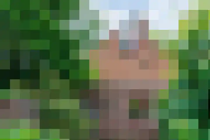 Blauwe Hof 5902 Wijchen thumbnail 36