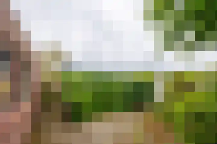 Blauwe Hof 5902 Wijchen thumbnail 38