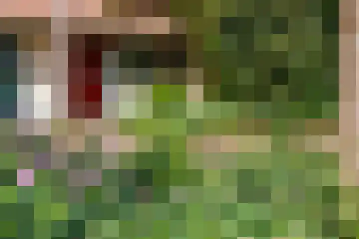 Blauwe Hof 5902 Wijchen thumbnail 39