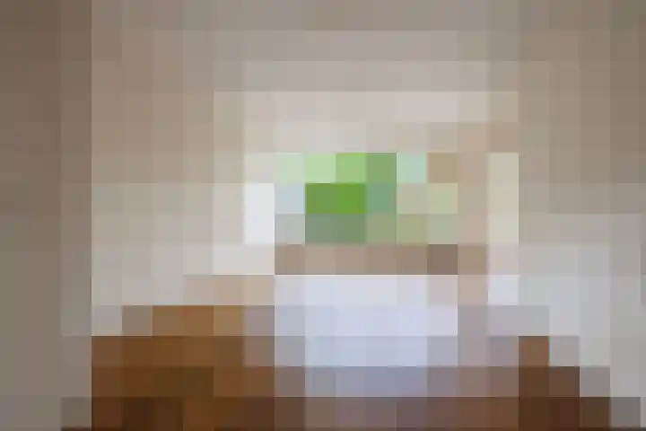 Blauwe Hof 5902 Wijchen thumbnail 4