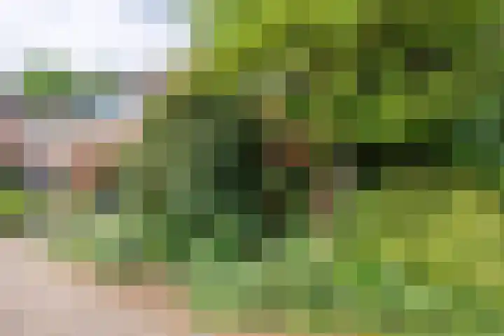Blauwe Hof 5902 Wijchen thumbnail 40