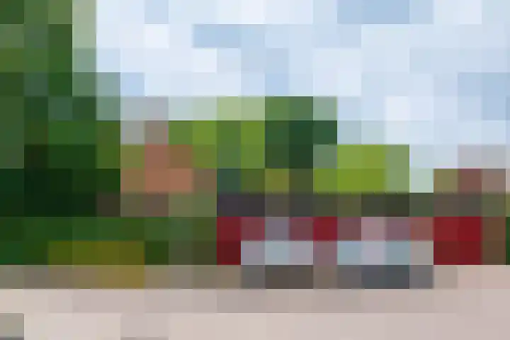 Blauwe Hof 5902 Wijchen thumbnail 41