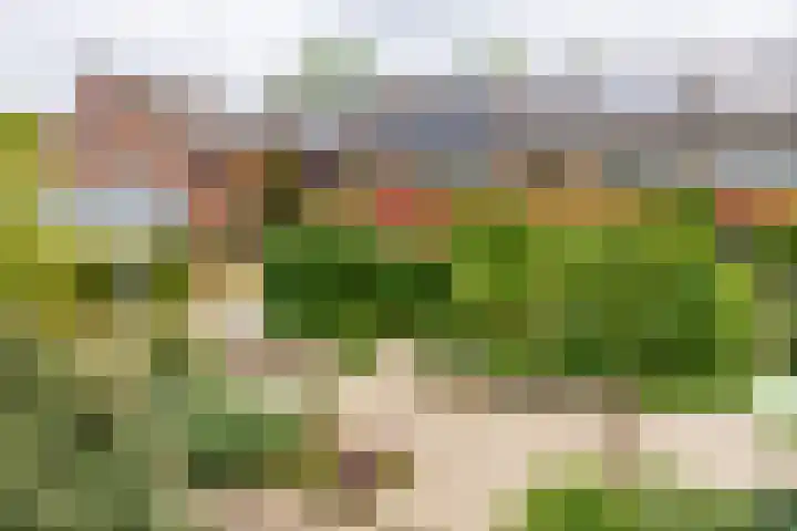 Blauwe Hof 5902 Wijchen thumbnail 45