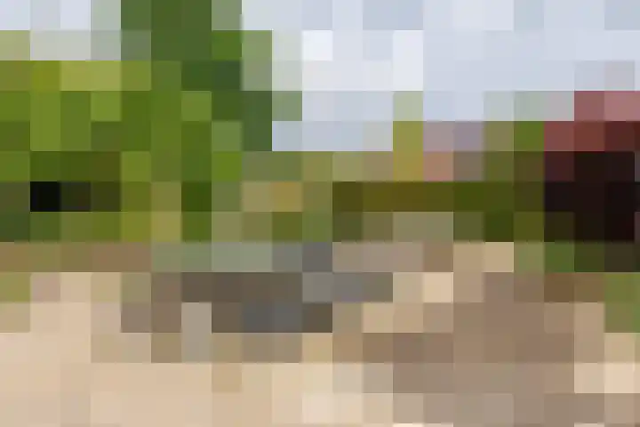 Blauwe Hof 5902 Wijchen thumbnail 46