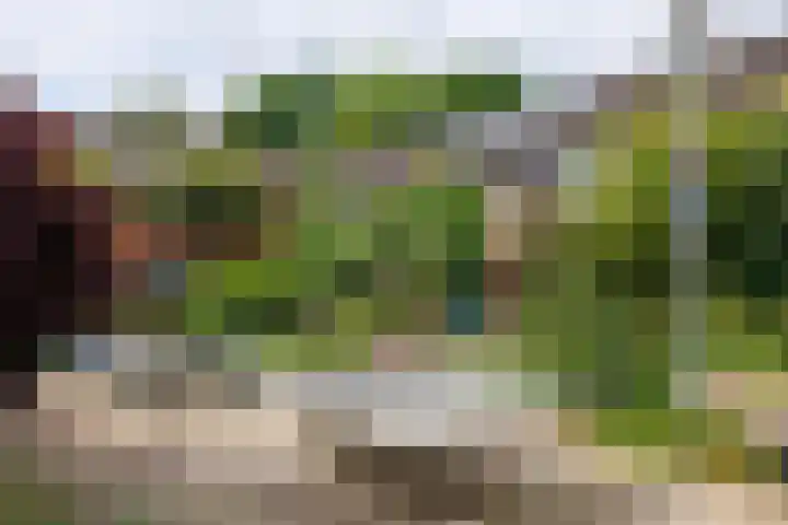 Blauwe Hof 5902 Wijchen thumbnail 47