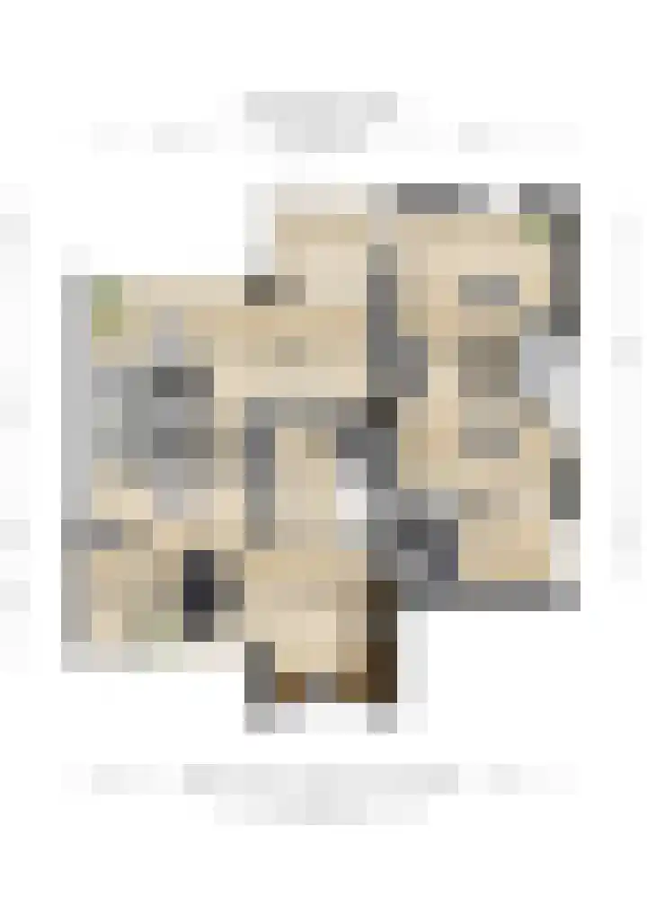 Blauwe Hof 5902 Wijchen thumbnail 48