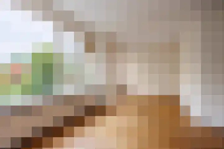 Blauwe Hof 5902 Wijchen thumbnail 5