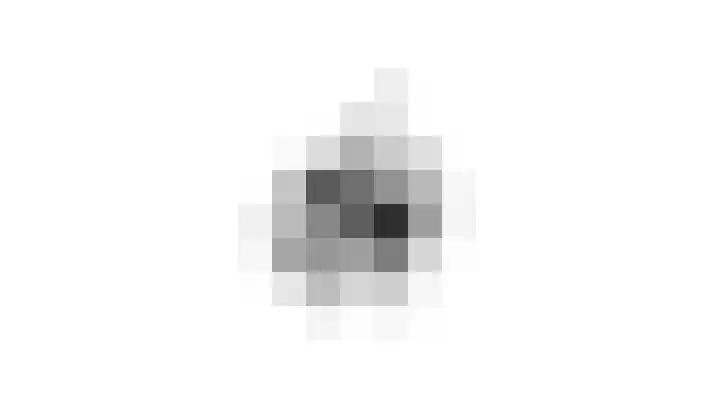 Blauwe Hof 5902 Wijchen thumbnail 58