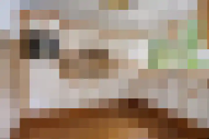 Blauwe Hof 5902 Wijchen thumbnail 8