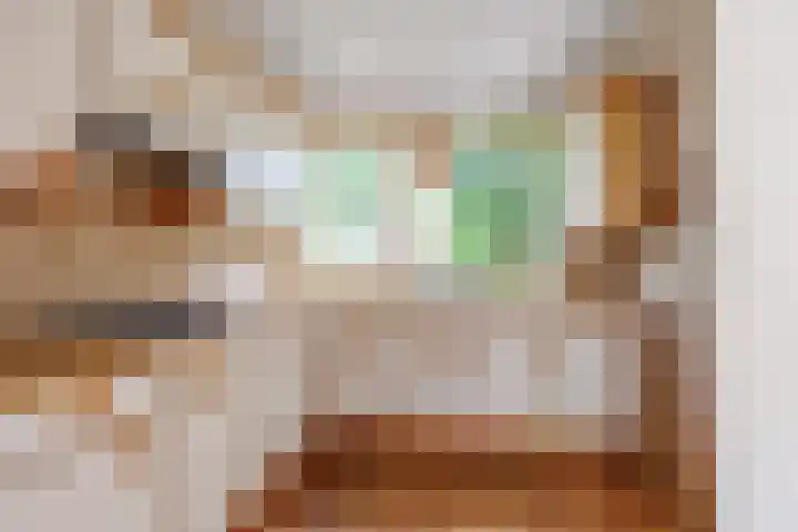 Blauwe Hof 5902 Wijchen thumbnail 9