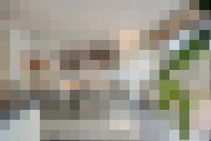 Blauwe Hof 6121 Wijchen thumbnail 18