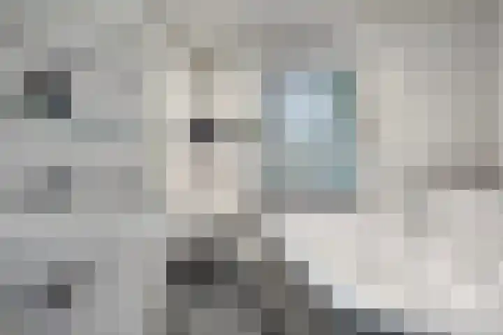 Blauwe Hof 6121 Wijchen thumbnail 27