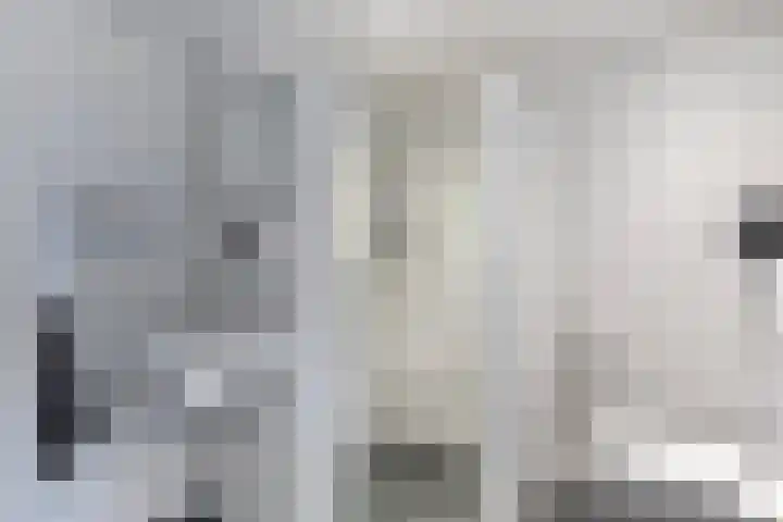 Blauwe Hof 6121 Wijchen thumbnail 28