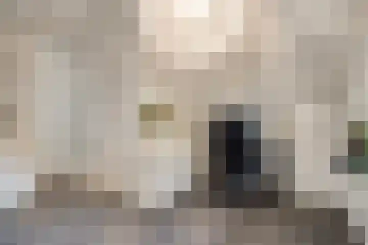 Blauwe Hof 6121 Wijchen thumbnail 33