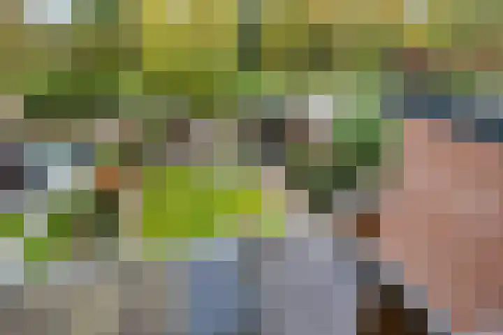Blauwe Hof 6121 Wijchen thumbnail 36