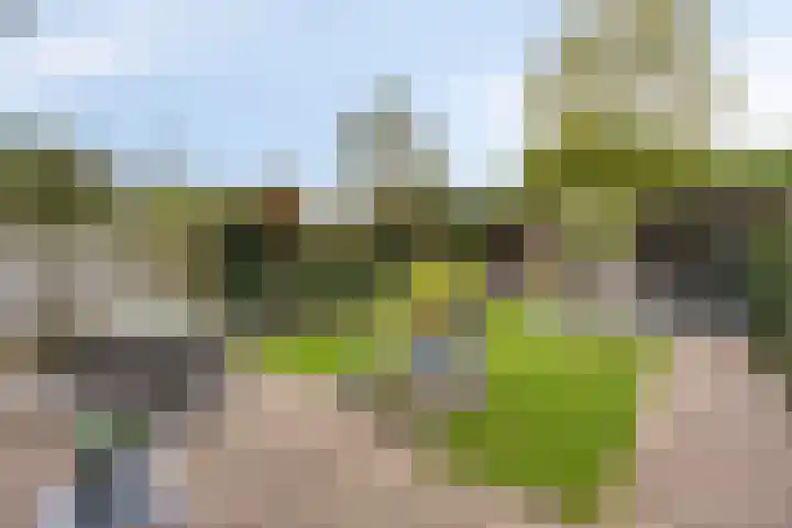 Blauwe Hof 6121 Wijchen thumbnail 38