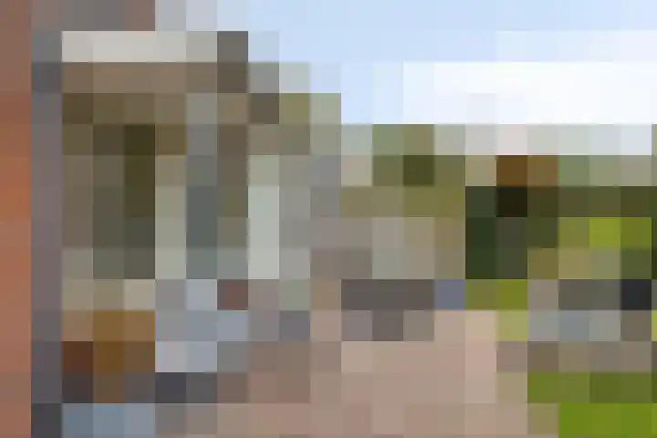 Blauwe Hof 6121 Wijchen thumbnail 39