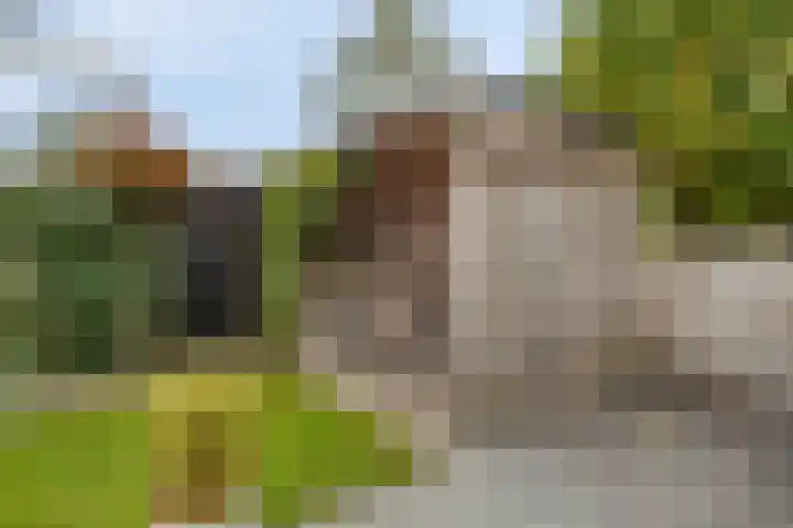 Blauwe Hof 6121 Wijchen thumbnail 42