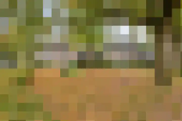 Blauwe Hof 6121 Wijchen thumbnail 48