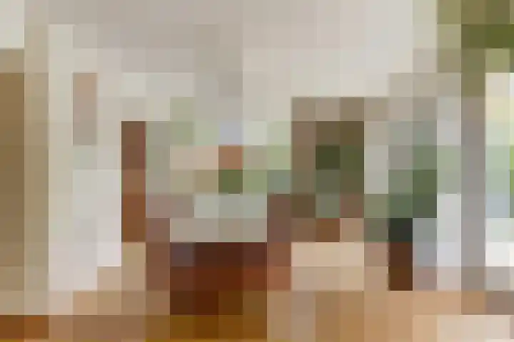 Blauwe Hof 6133 Wijchen thumbnail 11
