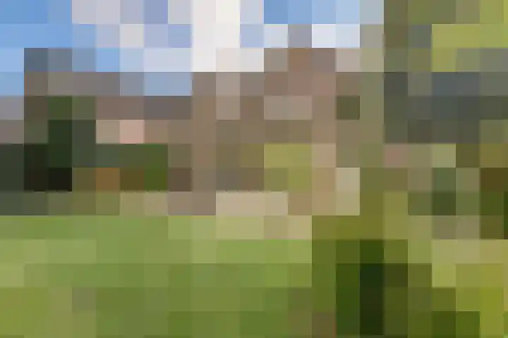 Blauwe Hof 6133 Wijchen foto 2