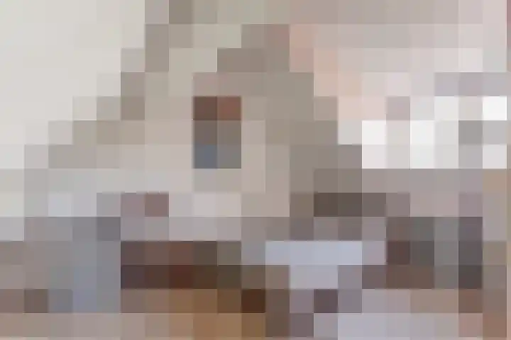 Blauwe Hof 6133 Wijchen thumbnail 33