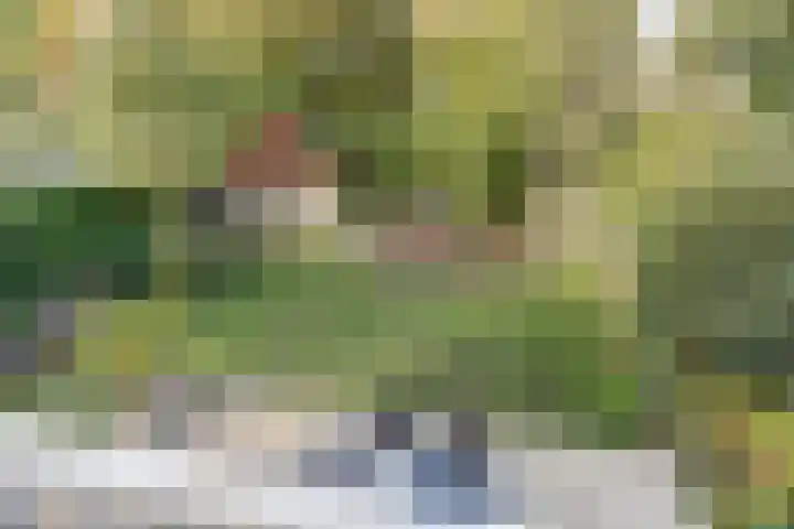 Blauwe Hof 6133 Wijchen thumbnail 38