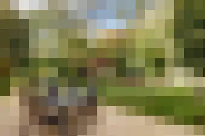 Blauwe Hof 6133 Wijchen thumbnail 41