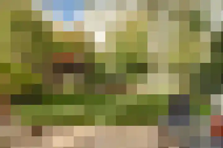 Blauwe Hof 6133 Wijchen thumbnail 42