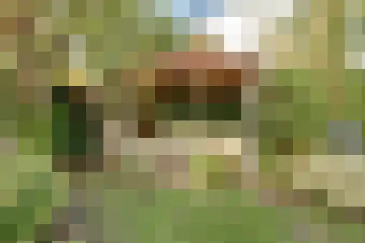 Blauwe Hof 6133 Wijchen thumbnail 43