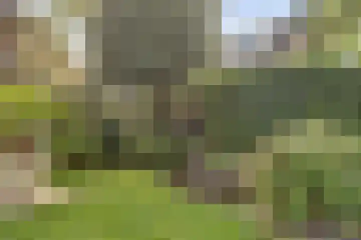 Blauwe Hof 6133 Wijchen thumbnail 44
