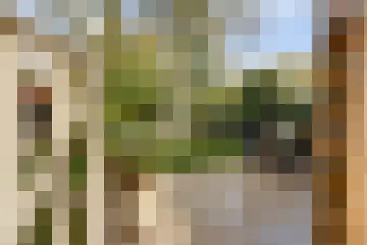 Blauwe Hof 6133 Wijchen thumbnail 45