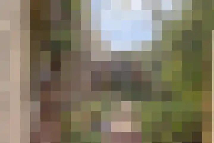 Blauwe Hof 6133 Wijchen thumbnail 46