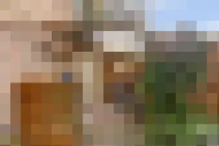 Blauwe Hof 6133 Wijchen thumbnail 47