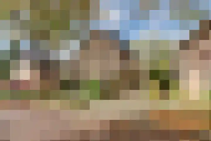 Blauwe Hof 6133 Wijchen thumbnail 48