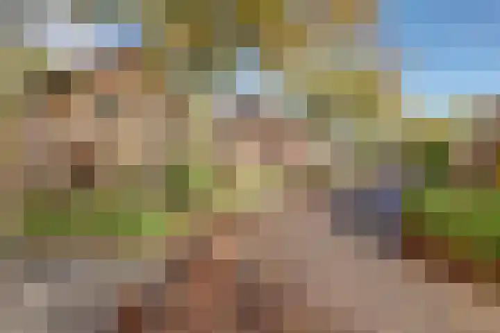 Blauwe Hof 6133 Wijchen thumbnail 49