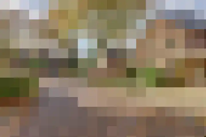 Blauwe Hof 6133 Wijchen thumbnail 50