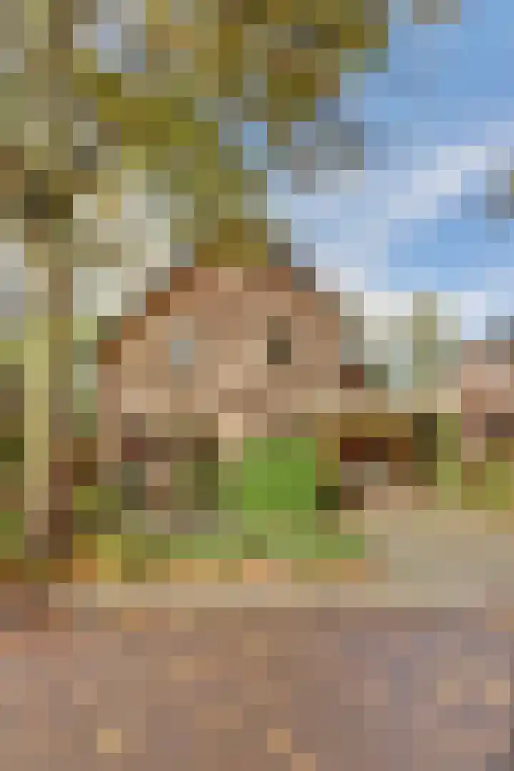 Blauwe Hof 6133 Wijchen thumbnail 51