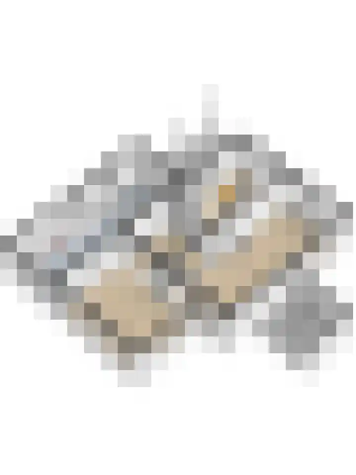 Blauwe Hof 6133 Wijchen thumbnail 53