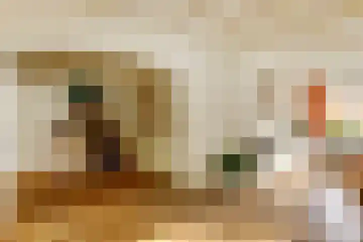 Blauwe Hof 6133 Wijchen thumbnail 8