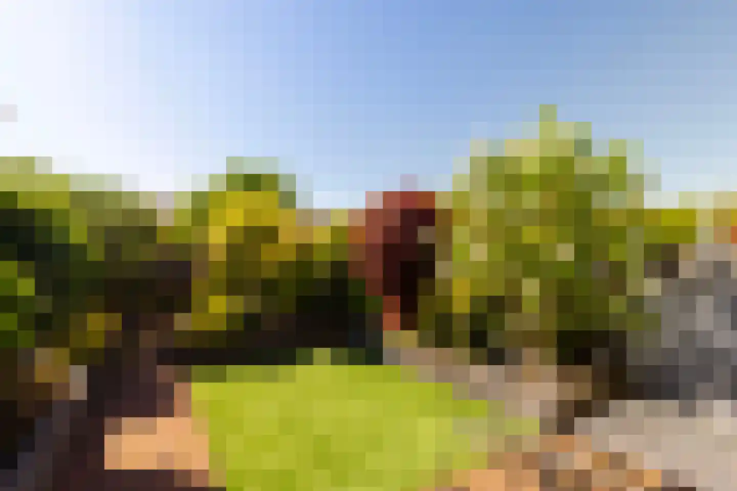 Blauwe Hof 7117 Wijchen thumbnail 30