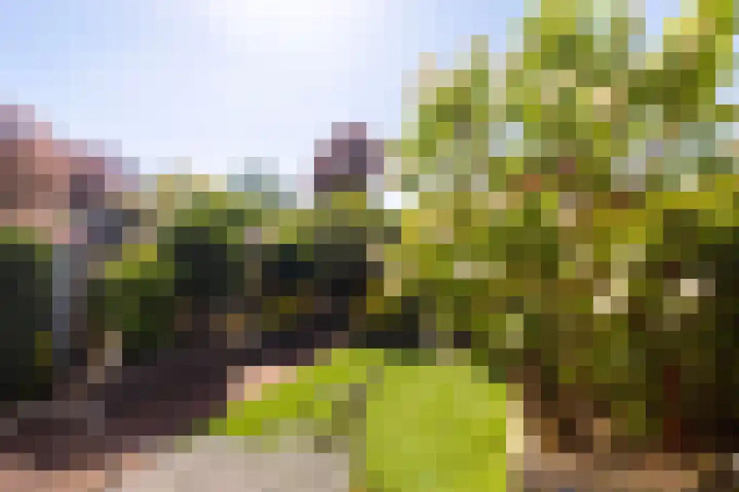 Blauwe Hof 7117 Wijchen thumbnail 31