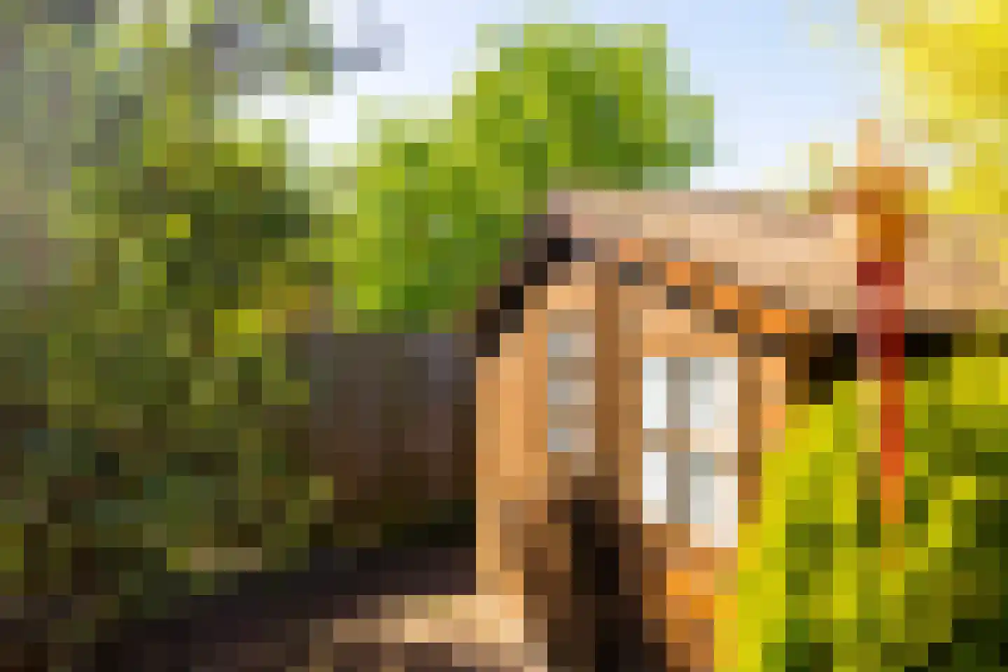 Blauwe Hof 7117 Wijchen thumbnail 32