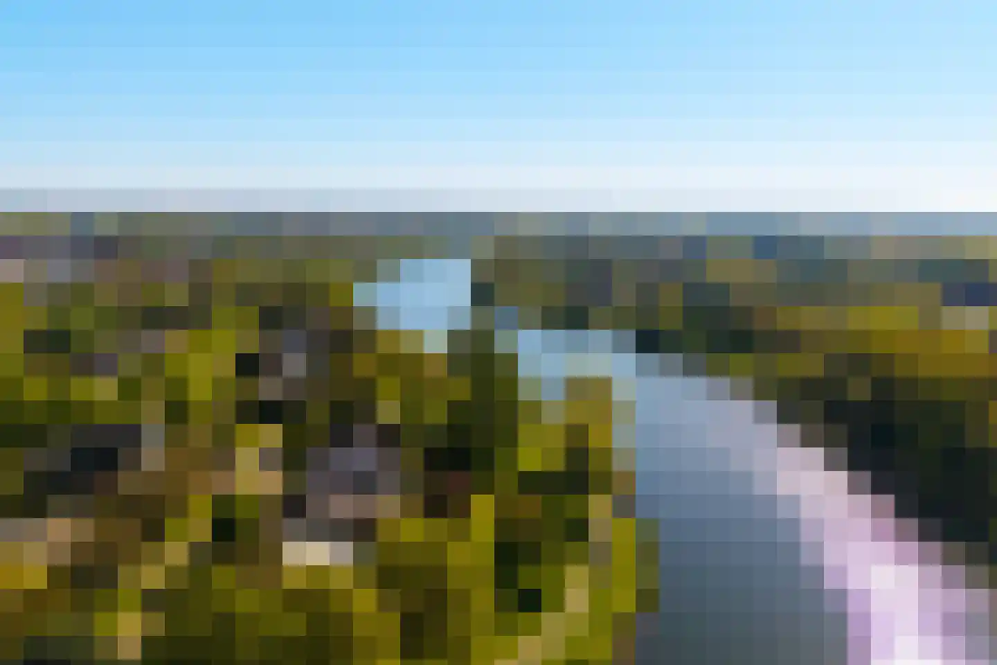 Blauwe Hof 7117 Wijchen thumbnail 6
