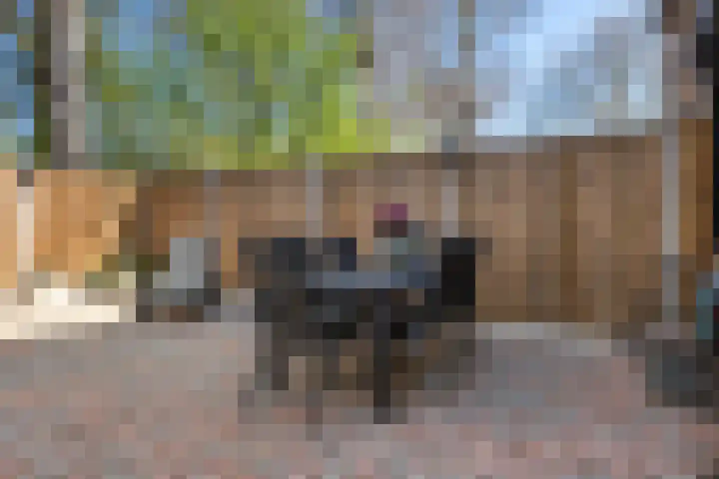 Blauwe Hof 7302 Wijchen thumbnail 19