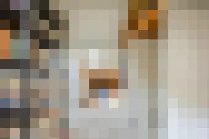 Blauwe Hof 7412 Wijchen thumbnail 25
